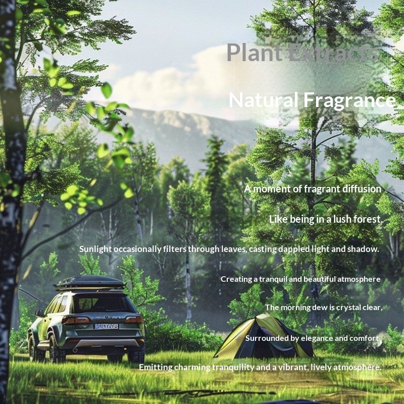 In-stock car air freshener bricks, car fragrance diffusers, home air fresheners, antifreeze, long-lasting, odor-eliminating, large-capacity solid perfumes.插图3